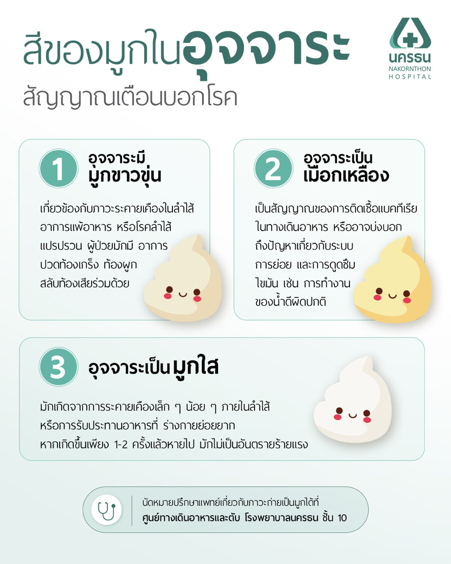 Infographic อธิบายสีของมูกในอุจจาระ
