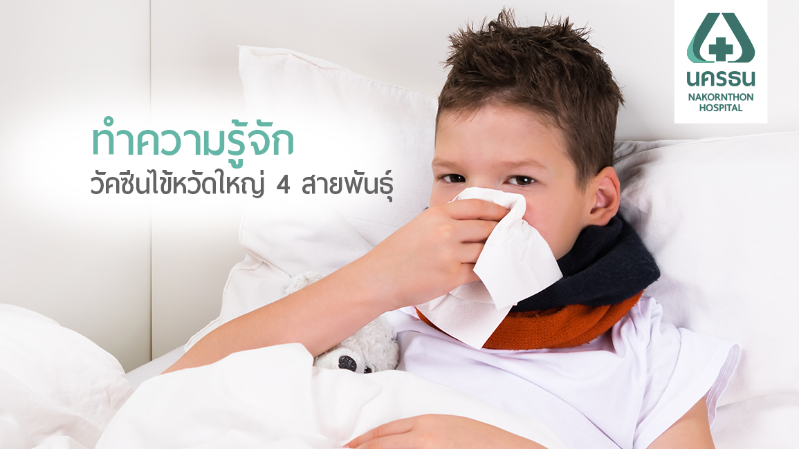 วัคซีนไข้หวัดใหญ่ 4 สายพันธุ์ (2566) กับเรื่องที่ควรรู้