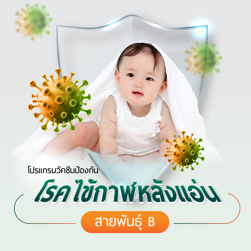 แพ็กเกจวัคซีนป้องกันโรคไข้กาฬหลังแอ่น สายพันธุ์ B