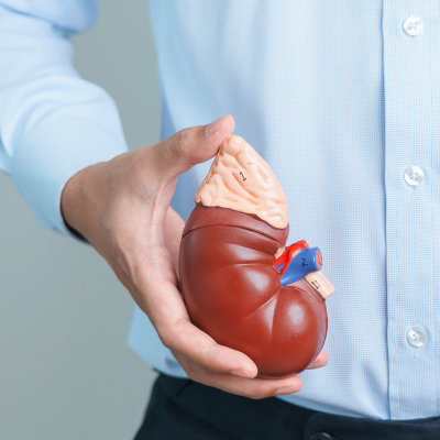 โรคไต