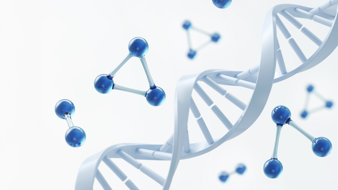 Lipoprotein (a)
