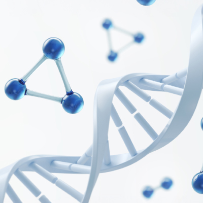 Lipoprotein (a)